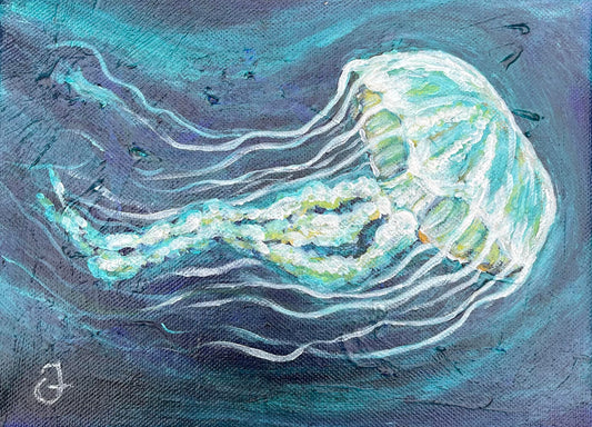 Jellyfish, 18x24cm